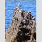 18_021 Grotte Neptune.jpg